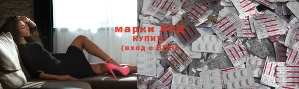 стаф Богородск