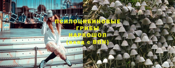 стаф Богородск