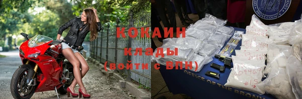 стаф Богородск